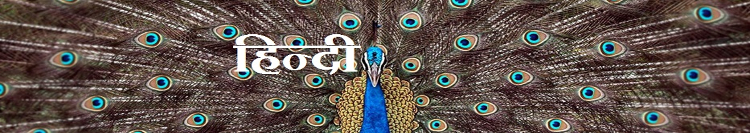 Hindi Banner